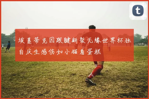埃基蒂克因跟腱断裂无缘世界杯独自庆生感伤如小猫看蛋糕