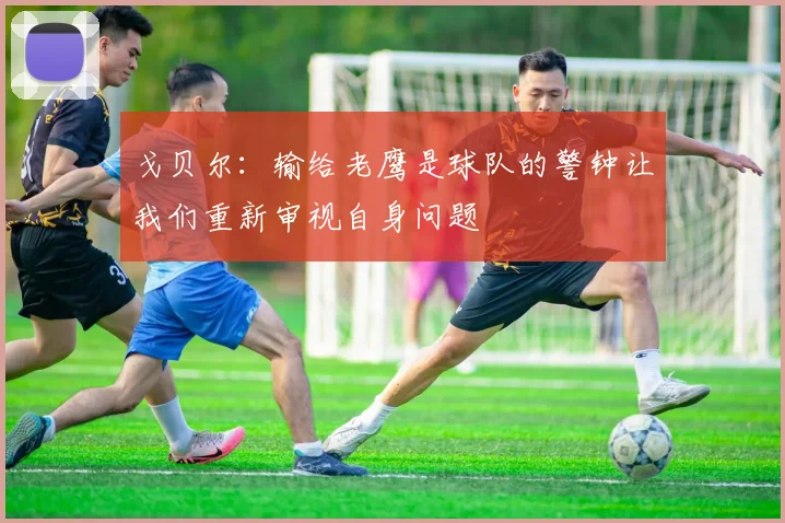 戈贝尔：输给老鹰是球队的警钟让我们重新审视自身问题